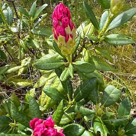 Rouen Paris - Domaine De L'oison * La Saussaye