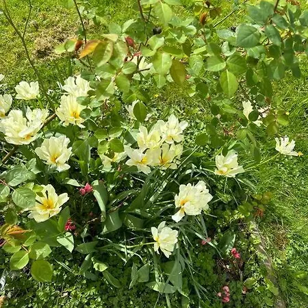 Rouen Paris - Domaine De L'oison La Saussaye